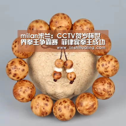 milan米兰:CCTV贺岁杯世界拳王争霸赛 菲律宾拳王成功卫冕(图3) 米兰官方网站