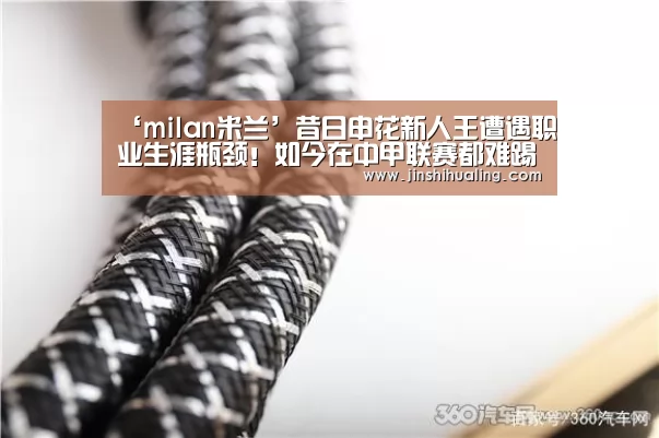 ‘milan米兰’昔日申花新人王遭遇职业生涯瓶颈!如今在中甲联赛都难踢主力(图3) 米兰·(milan)中国官网