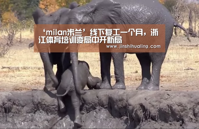 ‘milan米兰’线下复工一个月,浙江体育培训变局中开新局(图1) 米兰·(milan)中国官网