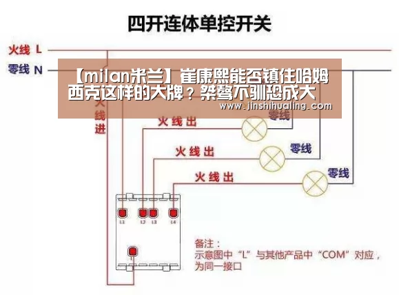 【milan米兰】崔康熙能否镇住哈姆西克这样的大牌?桀骜不驯恐成大连队刺头(图1) 米兰·(milan)中国官网