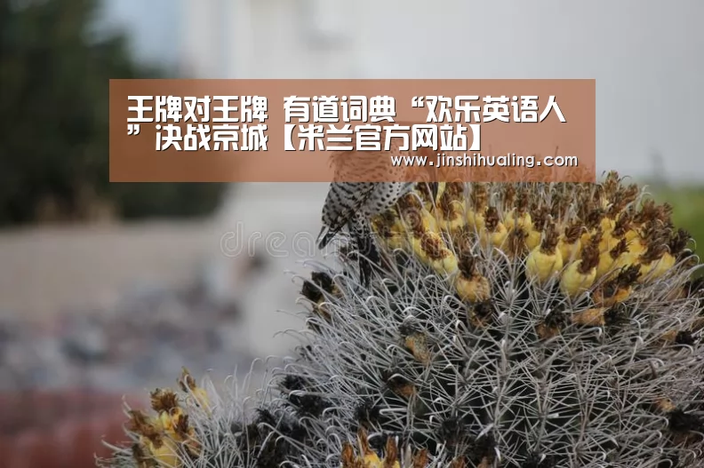 米兰·(milan)中国官网