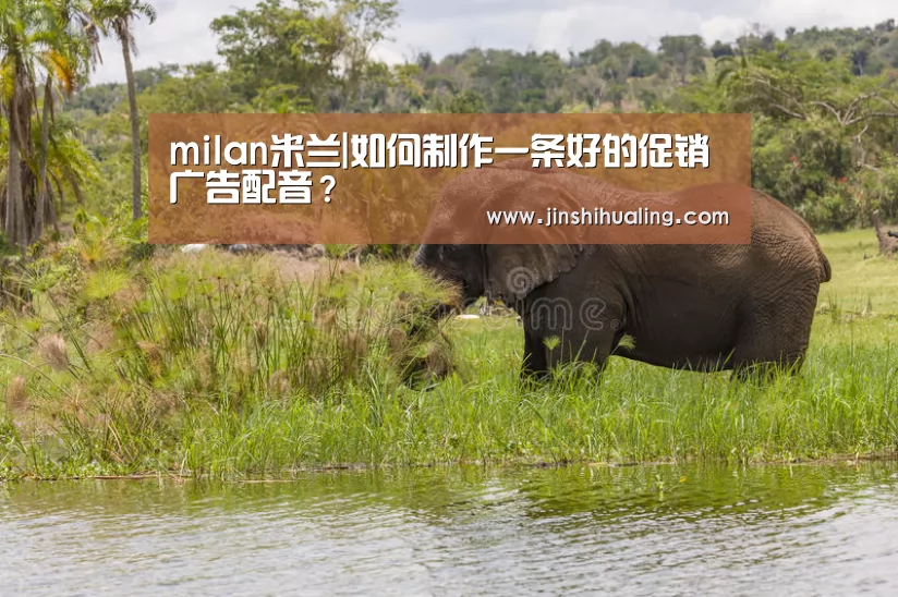 milan米兰|如何制作一条好的促销广告配音?(图2) 米兰官方网站
