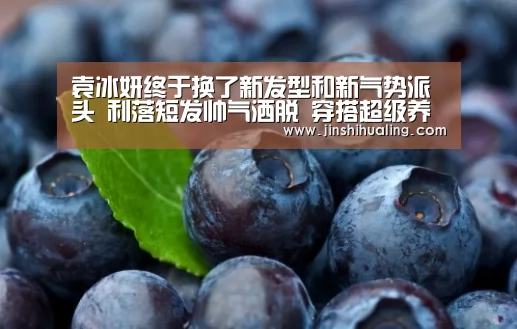 米兰·(milan)中国官网