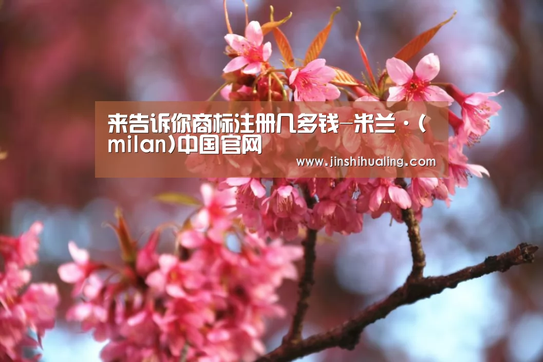
来告诉你商标注册几多钱-米兰·(milan)中国官网