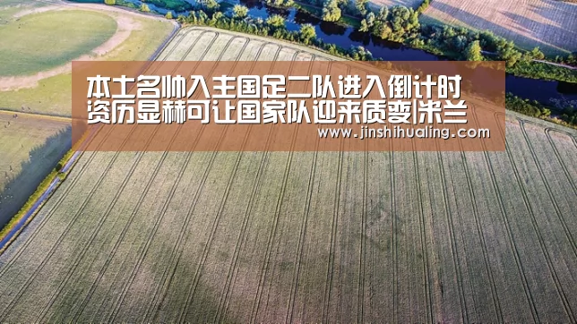 米兰·(milan)中国官网